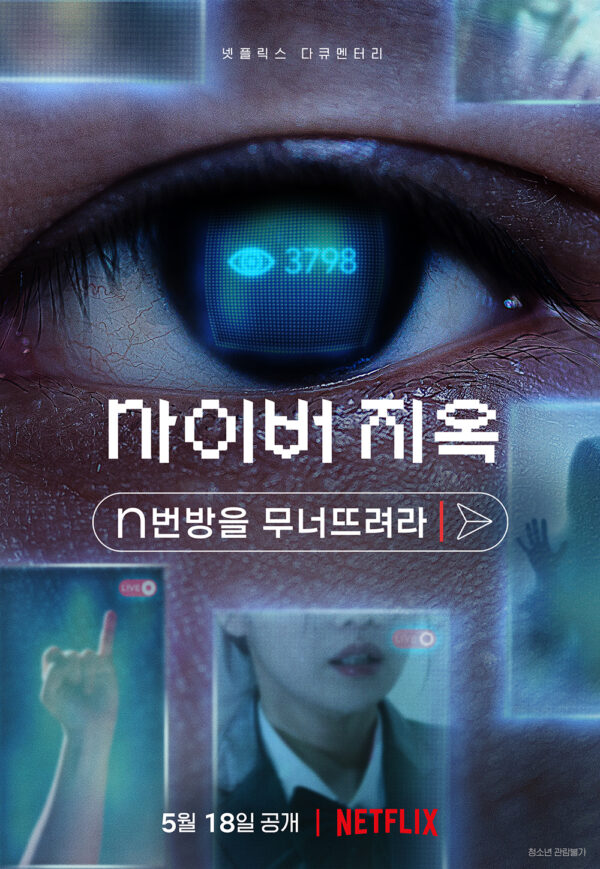 韓国映画【サイバー地獄：n番部屋 ネット犯罪を暴く】　DVD