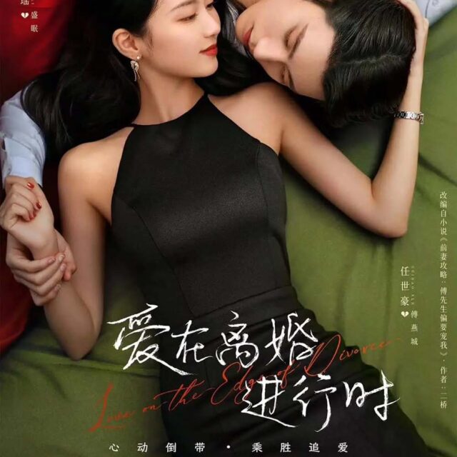 中国ドラマ【Love in the Edge of Divorce／爱在离婚进行时】自動翻訳（修正なし）　全話　DVD＆Blu-ray