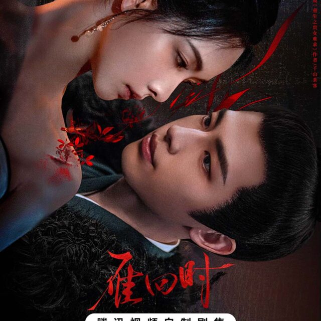 中国ドラマ【The Glory／雁回时】自動翻訳（修正なし）　全話　DVD＆Blu-ray