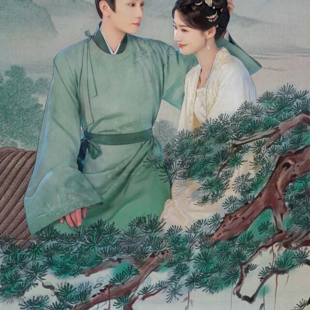 中国ドラマ【Serendipity／榜上佳婿】自動翻訳（修正なし）　全話　DVD＆Blu-ray