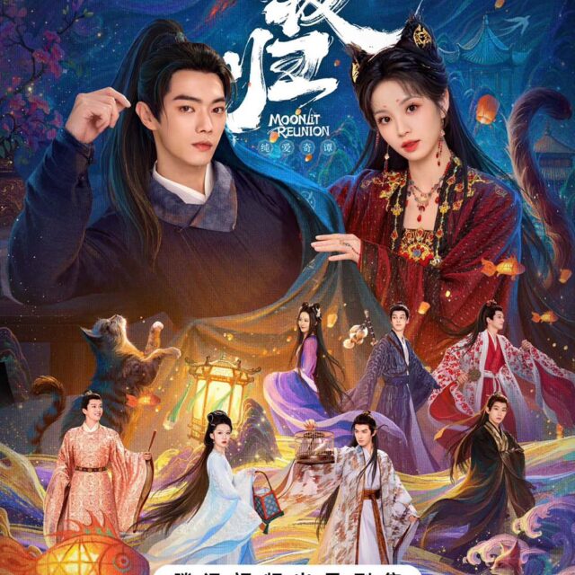 中国ドラマ【子夜帰】自動翻訳　全話　DVD＆Blu-ray