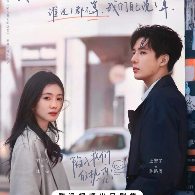 中国ドラマ【陷入我们的热恋／Be Passionately in Love】自動翻訳（修正なし）　全話　DVD＆Blu-ray