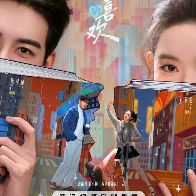 中国ドラマ【My Page in the 90s／突然的喜欢】自動翻訳（修正なし）　全話　DVD＆Blu-ray