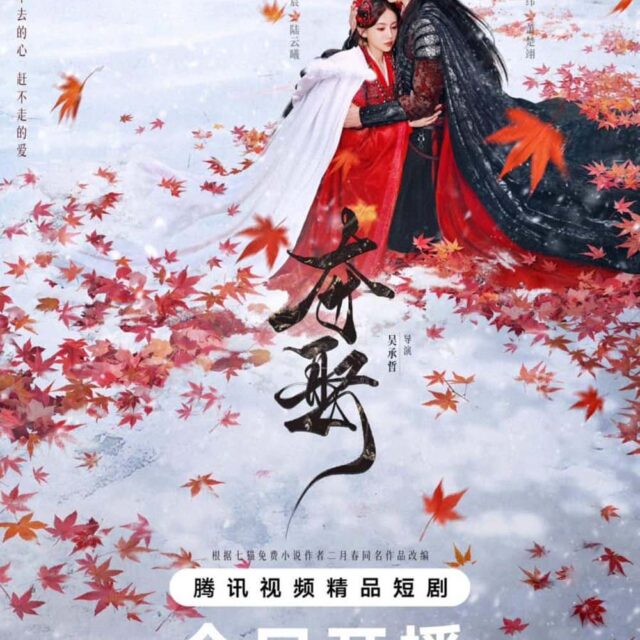 中国ドラマ【七雪紅涙～流転の愛、ふたたび～】全話　DVD＆Blu-ray