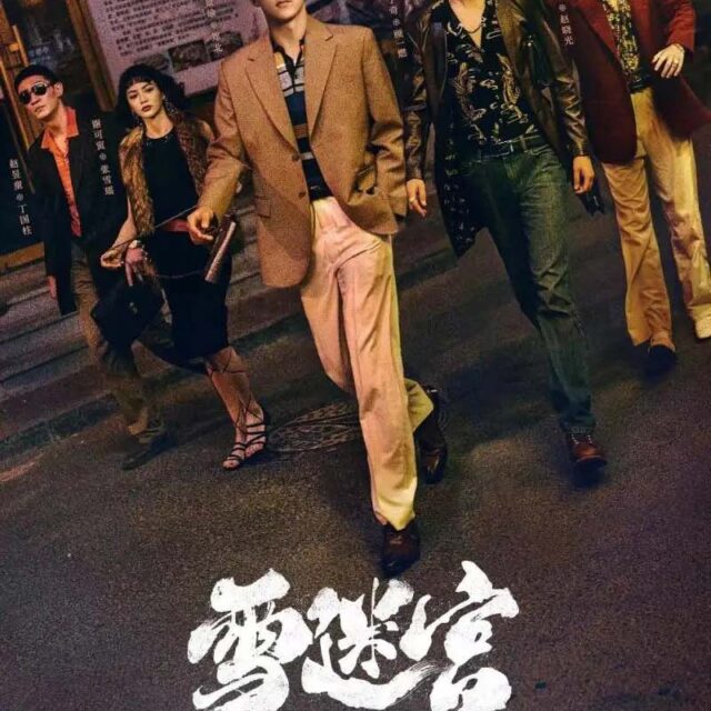 中国ドラマ【雪迷宮～俺たちの凍結捜査ファイル～】全話　DVD＆Blu-ray